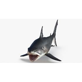 Great White Shark With Open Mouth model